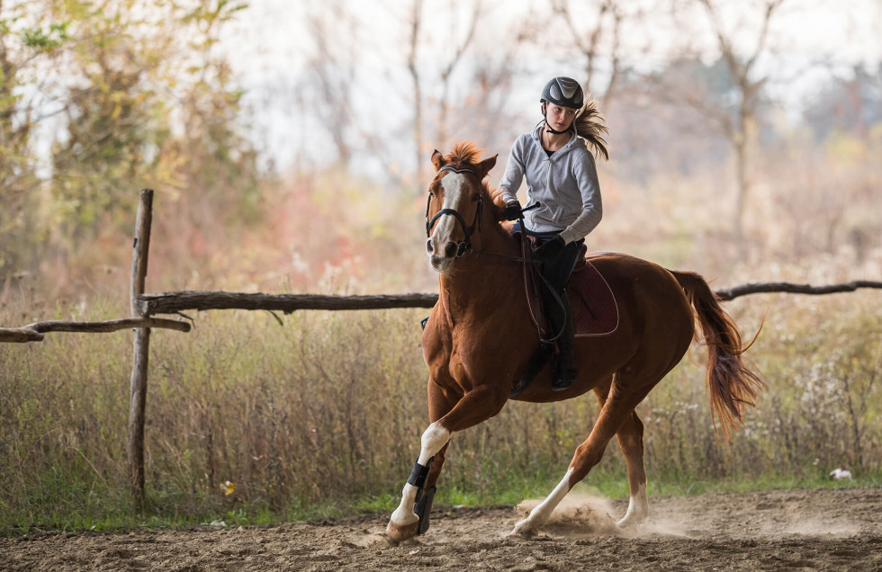 Equestrian Bluetooth MESH helmet headset - Image 4